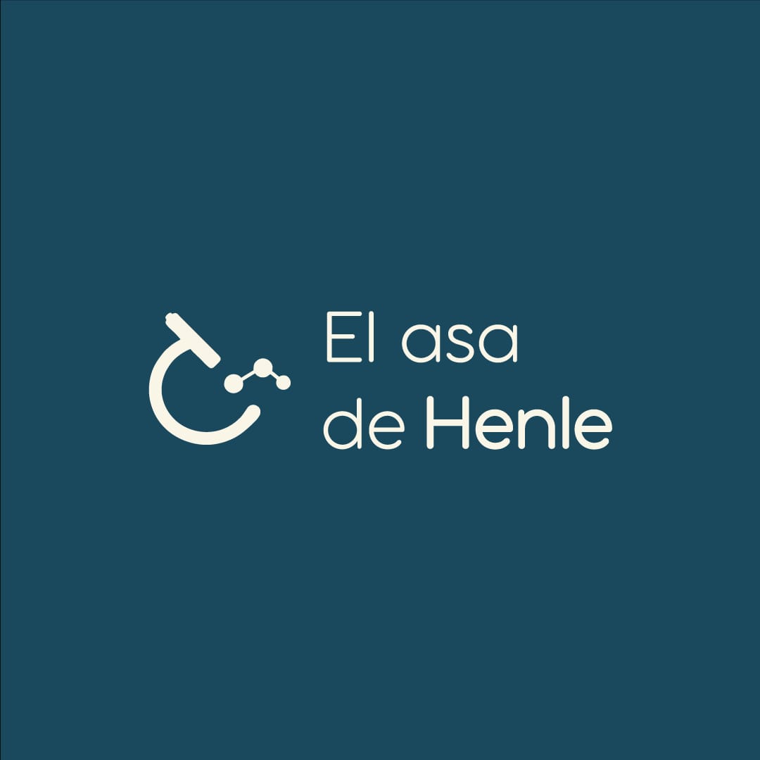 El asa de Henle - Lab