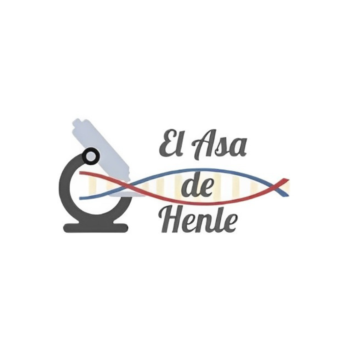El Asa de Henle - Lab