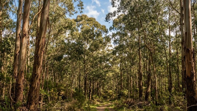Eco Emprendedores impulsando la econom&iacute;a verde