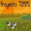 TIMMI TIMMI